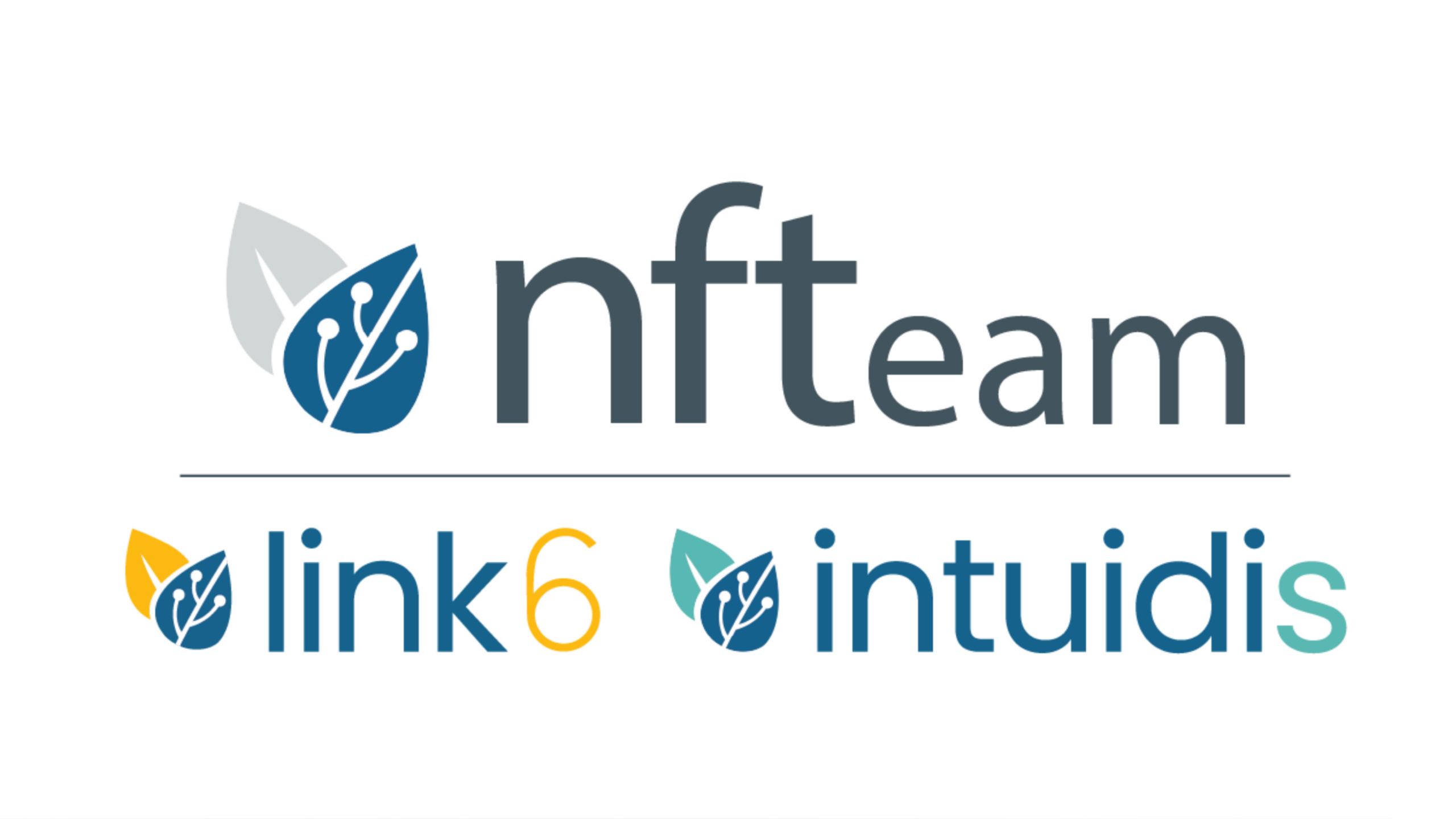 Logo NFTeam